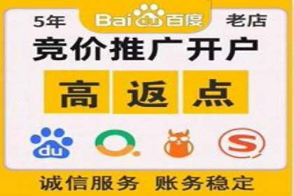 知名SEM运营公司实战案例解析
